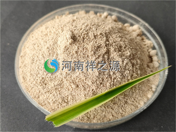 �͏N����̎�������